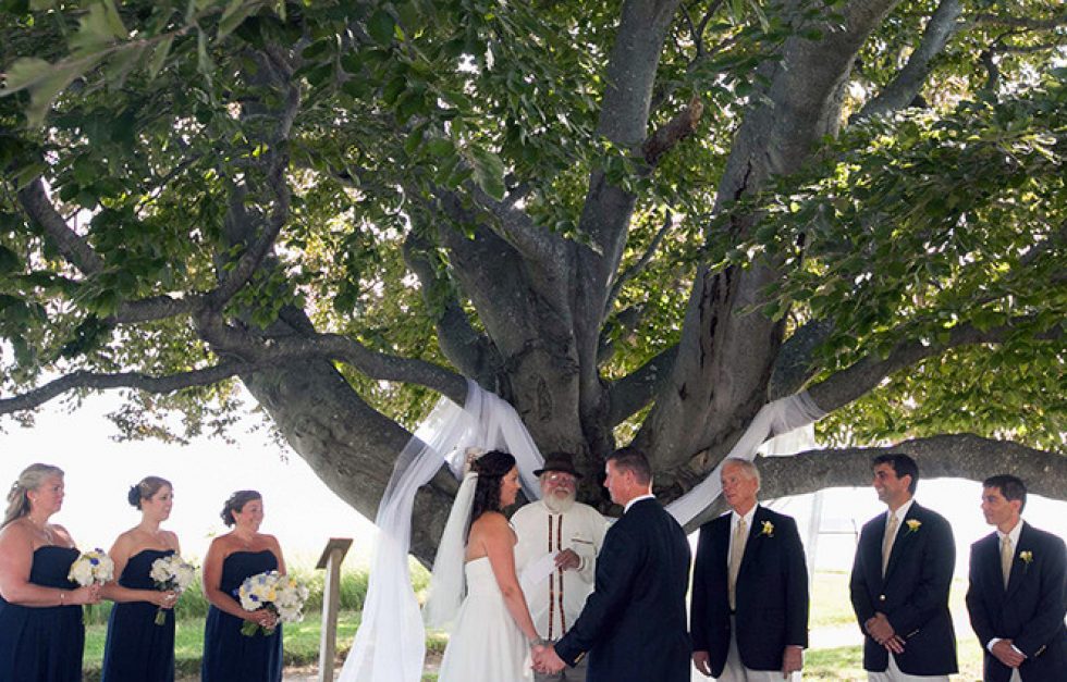 Copper Beech Ceremony