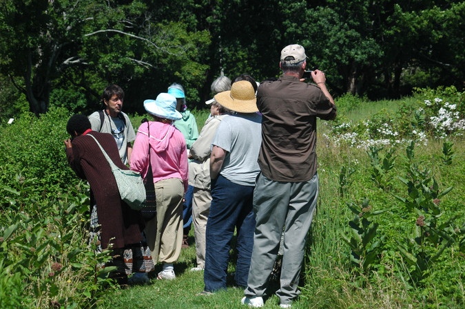 Wildflower Walk