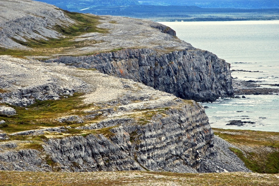Limestone barrens