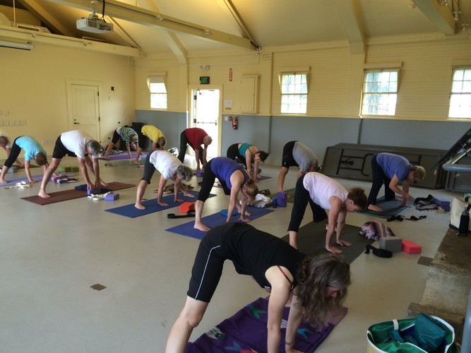 Yogis & yoginis in action